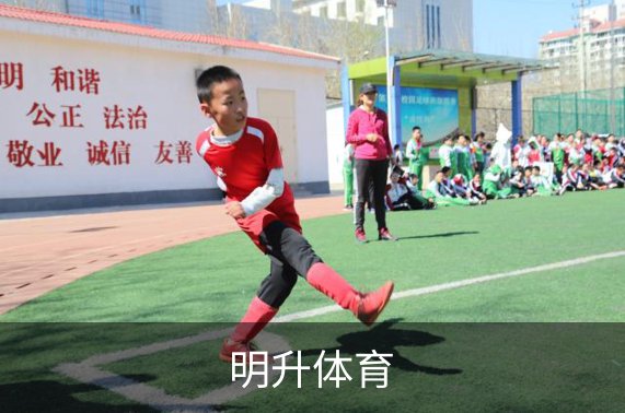 企业介绍